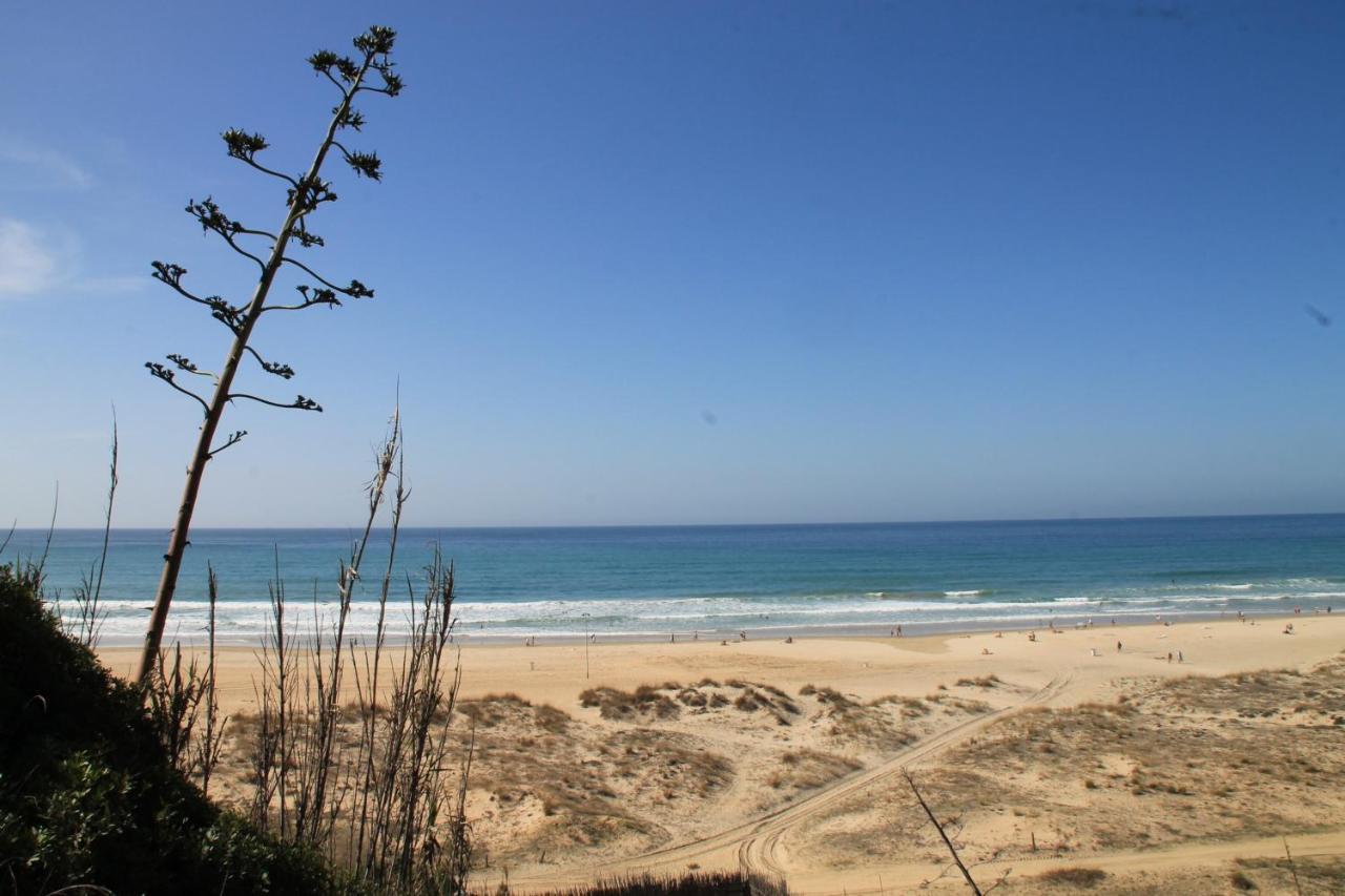 Estudio En El Centro De Conil Conil De La Frontera Exteriér fotografie