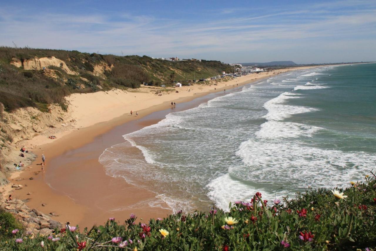 Estudio En El Centro De Conil Conil De La Frontera Exteriér fotografie